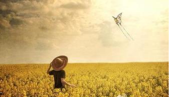 被赶出门后，我把人生过成爽文,被赶出门后，我的人生爽文之旅