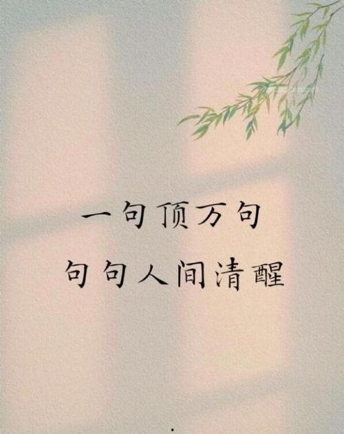 我只是人间清醒了一点